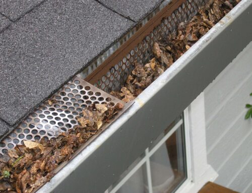 Fall Home Maintenance