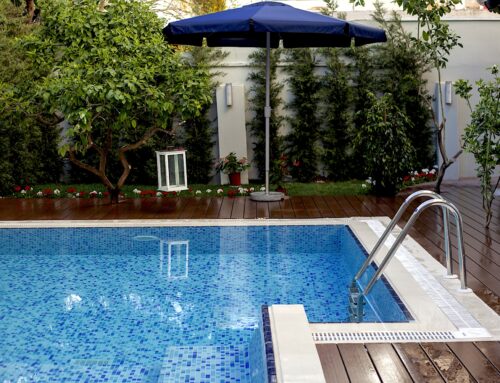 Naturalized and Salt Water Swimming Pools